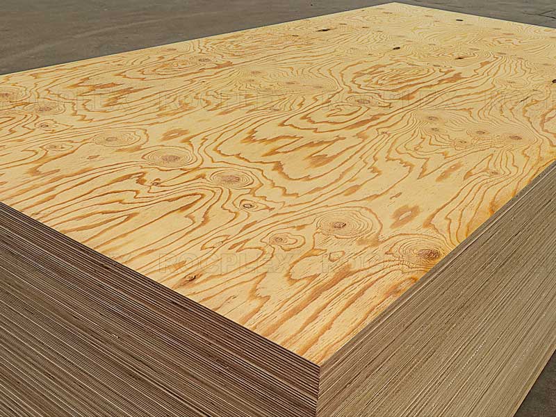 https://www.rocplex.com/structural-plywood-sheets-2400-x-1200-x-18mm-cd-grade-for-structural-use-ply-18mm-senso-product/