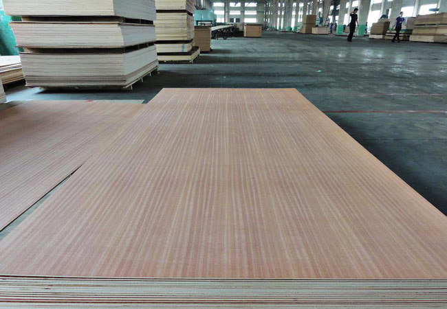 EV-plywood (2)