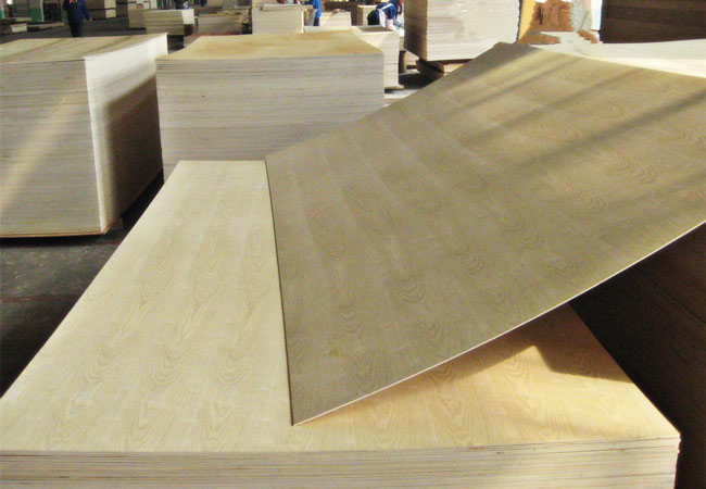 ash plywood (3)