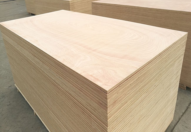 Okoume plywood.bintangor plywood,poplar-plywood,pine plywood,birch plywoodSapele plywood,teak-plywood,larch plywood,Oak-plywood,pencil cedar plywood,larch plywood,Ash plywood