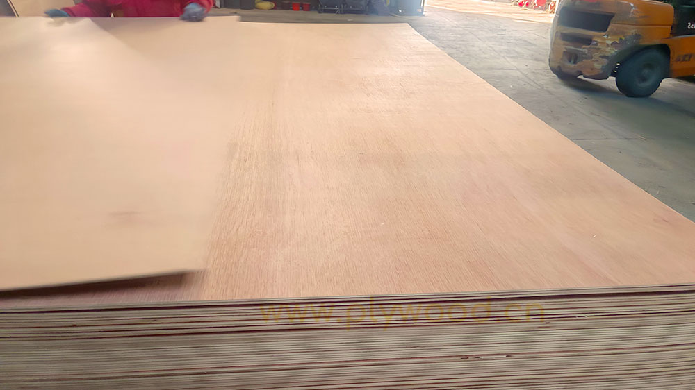 https://www.rocplex.com/commercial-plywood/