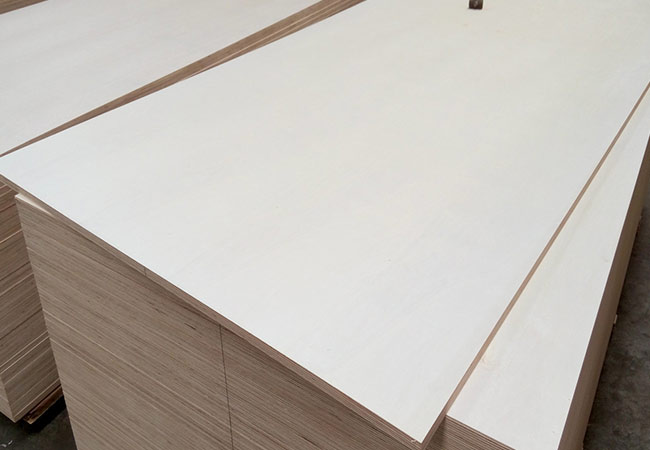 poplar-plywood (8)