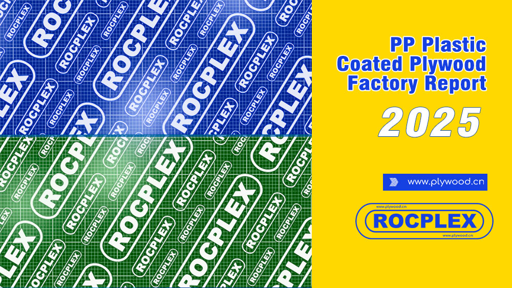 PP Plastic coated plwood factory