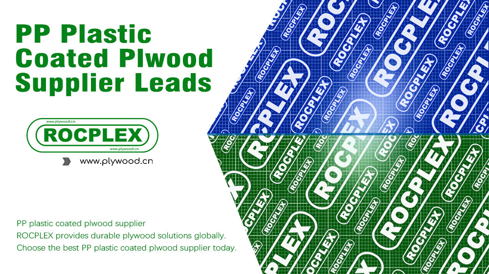 PP Plastic Coated Plywood Supplier
