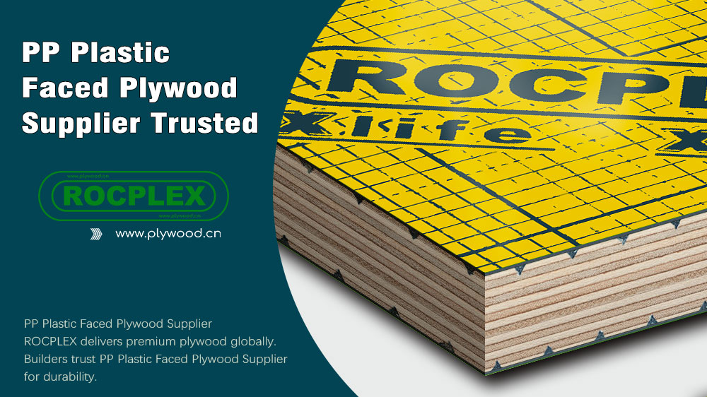 PP Plastic Faced Plywood Supplier