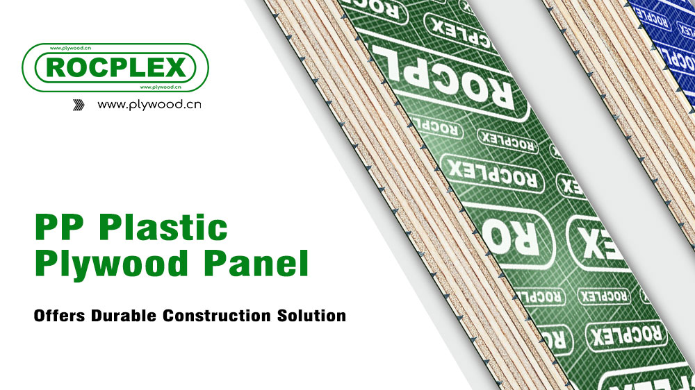 PP Plastic Plywood Panel Offers Durable Construction Solution