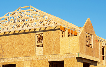 Structural Use Timber for House Framing | OSB Panels | Engineered Timber Construction